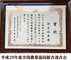 平成29年度全国農業協同組合連合会