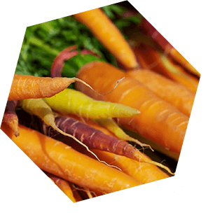 たつの市を中心にお野菜の販売先をお探しの方へ